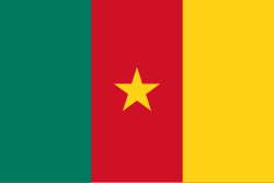 Flag_of_Cameroon.svg